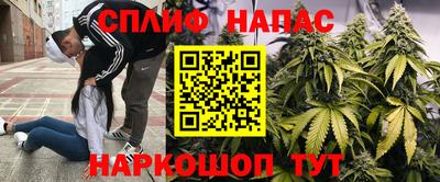 каннабис Абакан