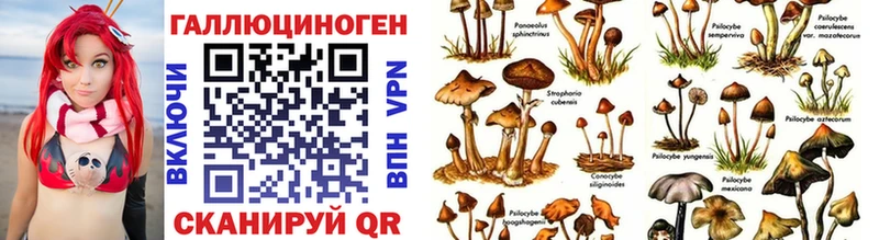 Псилоцибиновые грибы прущие грибы  купить наркоту  маркетплейс телеграм  Алатырь 