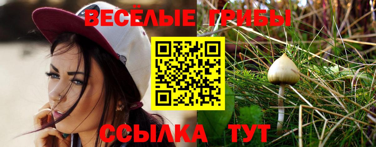 Псилоцибиновые грибы Cubensis Алатырь