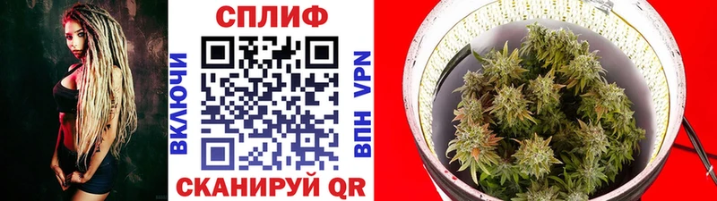 где найти   Алатырь  Канабис White Widow 